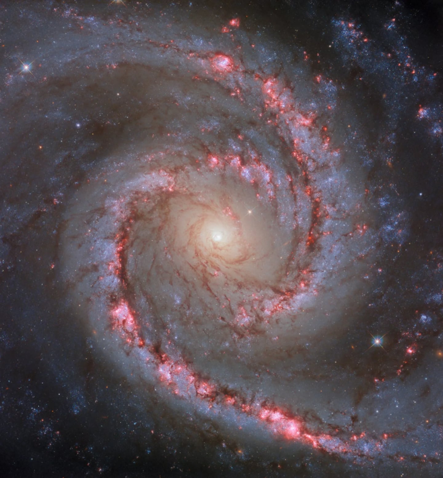 galaxia espiral NGC 1566, NASA